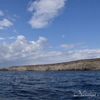 Природа Крыма :: Amazing Cosmea Природа Крыма :: Amazing Cosmea