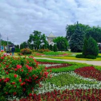 Цветочные ковры :: Галина Бобкина