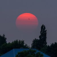 закат :: Виталий Емельянов