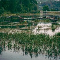 Плёс. Май 2025 :: Вячеслав Владимирович Плёс. Май 2025 :: Вячеслав Владимирович