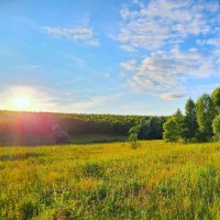 Лето в разгаре :: IMir 