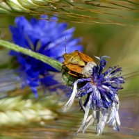 Из снятого сегодня 4 :: Александр Прокудин