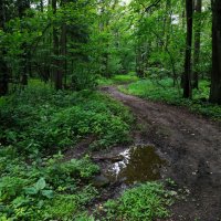 Июль наступил. Осталось дождаться наступления лета :: Андрей Лукьянов Июль наступил. Осталось дождаться наступления лета :: Андрей Лукьянов