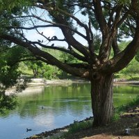 Парк имени С. М. Кирова :: Лидия Бусурина Парк имени С. М. Кирова :: Лидия Бусурина