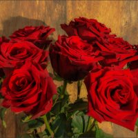 Танюша Помогалова, с Днём рождения! :: Татьяна Машошина