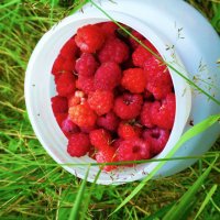 Июль...Малиновый аромат! :: Владимир Июль...Малиновый аромат! :: Владимир