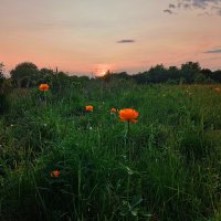 Вечерние огоньки :: Ирина *