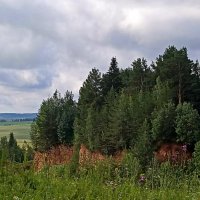 *** :: Светлана Кузнецова *** :: Светлана Кузнецова