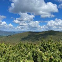 ранкові Карпати :: Степан Карачко