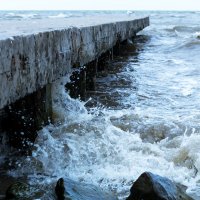 ** :: Oksana Verkhoglyad