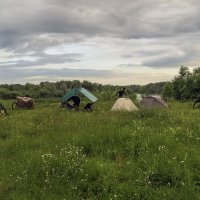 Готовы встретить непогоду :: Сергей Цветков