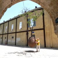 Висячее дерево в Старом Яффо :: Алевтина Висячее дерево в Старом Яффо :: Алевтина