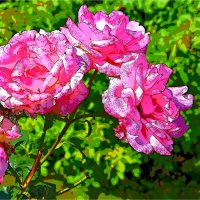 ПОДАРОК :: Юрий Владимирович 34 ПОДАРОК :: Юрий Владимирович 34