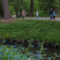 ***** :: юрий поляков