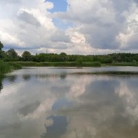 Усманка , Воронеж :: Елена Шаламова Усманка , Воронеж :: Елена Шаламова