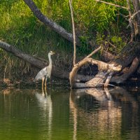 ... :: Роман Кондрашин