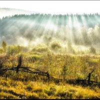 Ранняя осень :: александр 