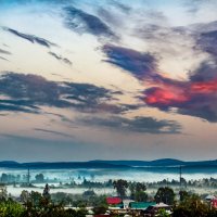 Птица :: александр 