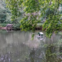 лесное озеро :: Валентина. . лесное озеро :: Валентина. .