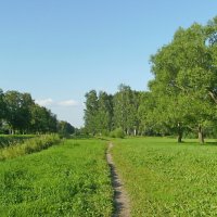 Привычными тропами. :: VasiLina *