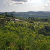 ПЛАТО ЛАГОНАКИ :: Tata Wolf ПЛАТО ЛАГОНАКИ :: Tata Wolf