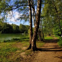 Пять прудов Измайловского парка :: Андрей Лукьянов