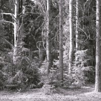 Назва. отсу. :: Денис Безногов