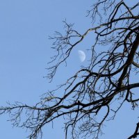 Прогуливаясь :: Екатерина Маринина