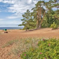 Пляж :: Cергей Кочнев Пляж :: Cергей Кочнев