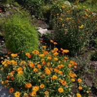 Ak Bulak. Talgar. :: Murat Bukaev 