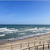 На берегу моря. :: Валерия Комова