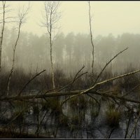 *** :: Aleksandr Gal