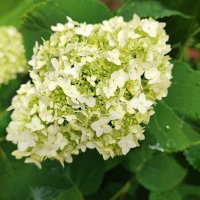 ,,, :: Сергей Тимоновский