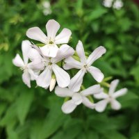 ,,, :: Сергей Тимоновский