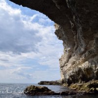 Природа Крыма :: Amazing Cosmea