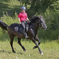 аллюр три креста :: cfysx аллюр три креста :: cfysx