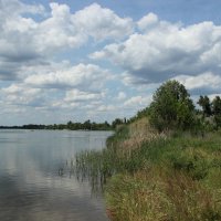 У Дона. :: Виктор 