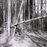 Назва. отсу. :: Денис Безногов