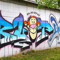 Лев весельчак :: Василий 