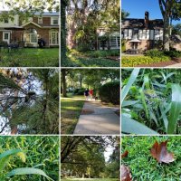 Мы в Нью Джерси :: Светлана Хращевская Мы в Нью Джерси :: Светлана Хращевская