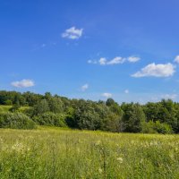 Палитра июля... :: Владимир Жданов