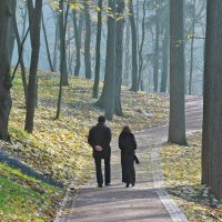 Осенний роман. :: Борис Бутцев