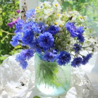 Натюрморт! :: жанна нечаева