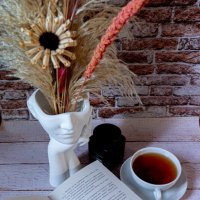 Чтение книг :: Светлана Мишенёва