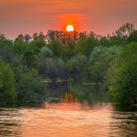 ... :: Жора Житников