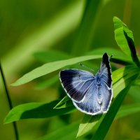 в последний день июня 14 :: Александр Прокудин