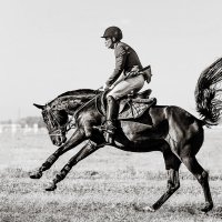 Конкур :: SanSan 