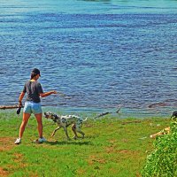 Июль...Детский отдых у реки с собакой! :: Владимир 