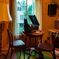 Вечер на даче. :: Игорь Викторов