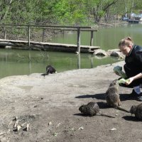 Завтрак нутрий :: ИРЭН@ .